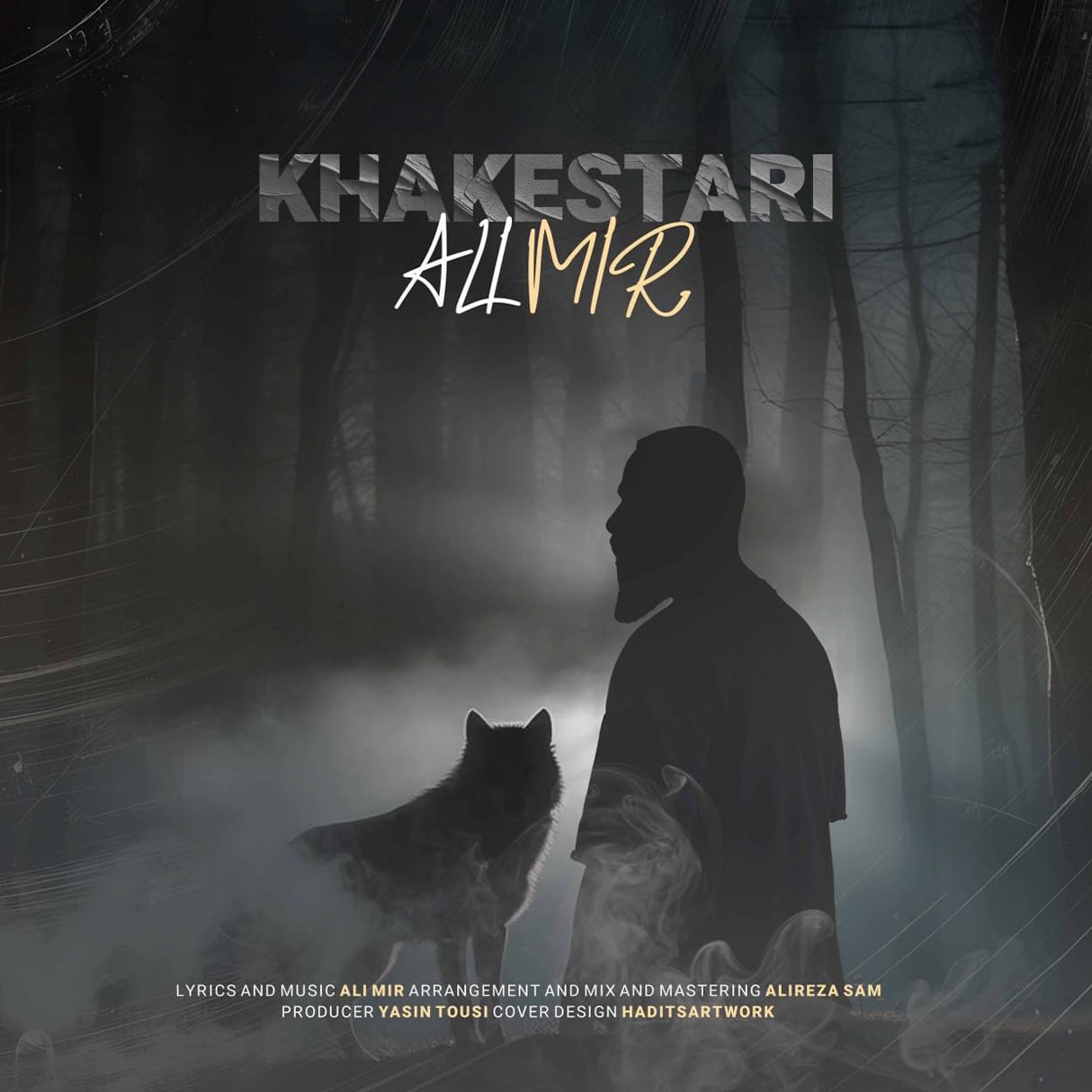 علی میر خاکستری