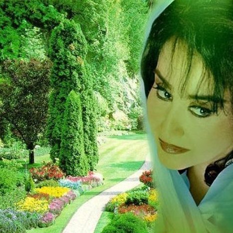 حمیرا ای بخت