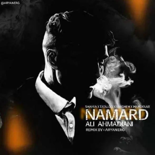 ریمیکس آیم نامرد هی نامرد زندگی مه پر درده از دیجی آرین ای آر جی