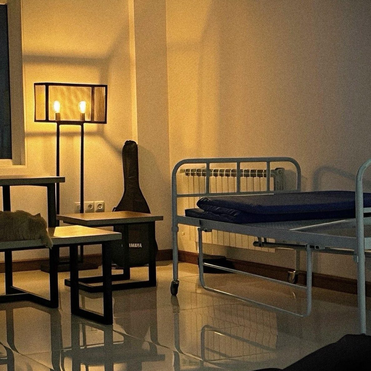 شروین حاجی پور دلم برات تنگ میشه